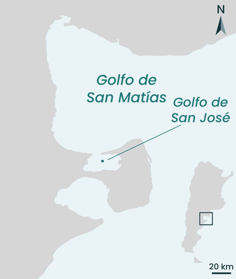 Mapa de los golfos San Matías y San José, en el norte de la Patagonia.