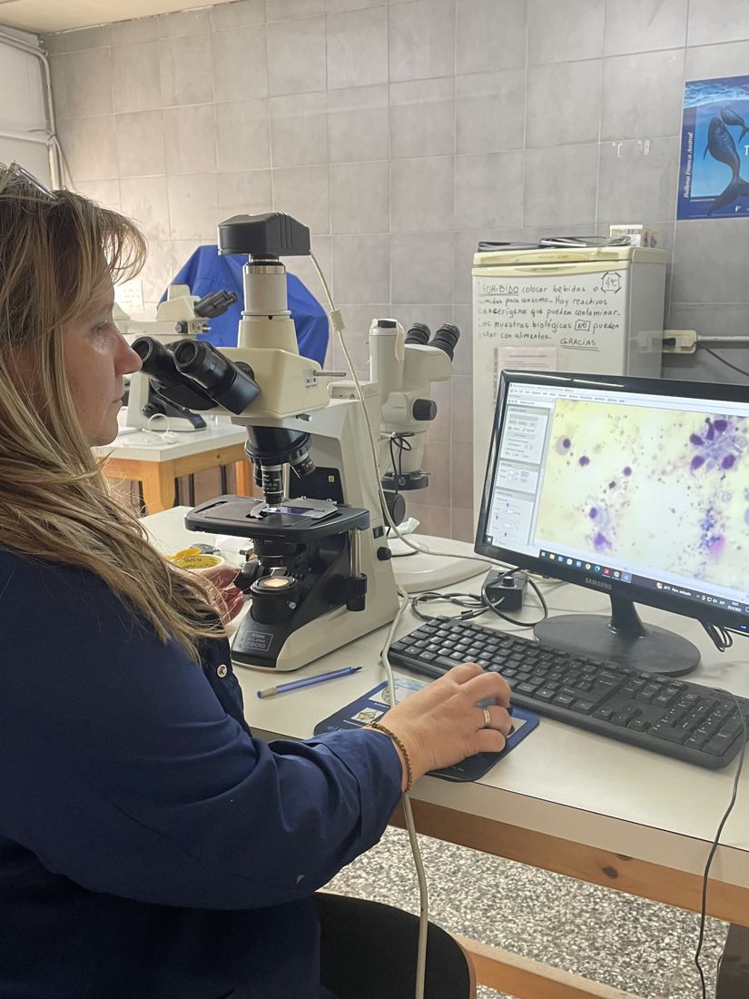 Investigadora observando una muestra al microscopio, con la imagen ampliada en la pantalla.